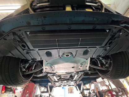 FTP Dry Carbon Skid Plate Oil Cooler Guard