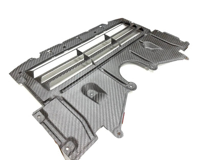 FTP Dry Carbon Skid Plate Oil Cooler Guard