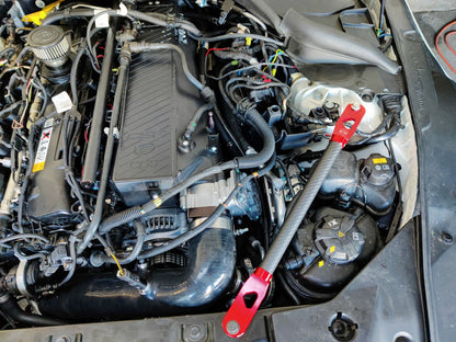 Vargas BMW G2X Carbon Fiber Strut Braces