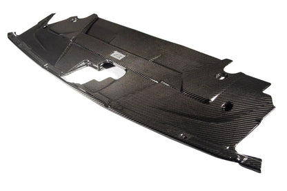 Ford Mustang S650 Carbon Fiber Cooling Plate 2024 - Current