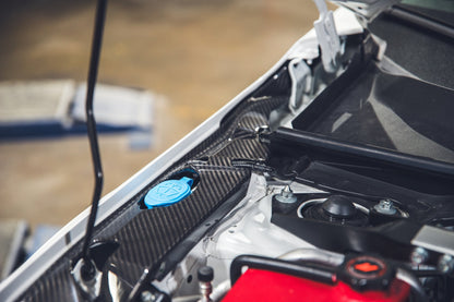 Acura Integra Type S And A Spec DE5 Carbon Fiber Radiator Cooling Plates 2023 - Current