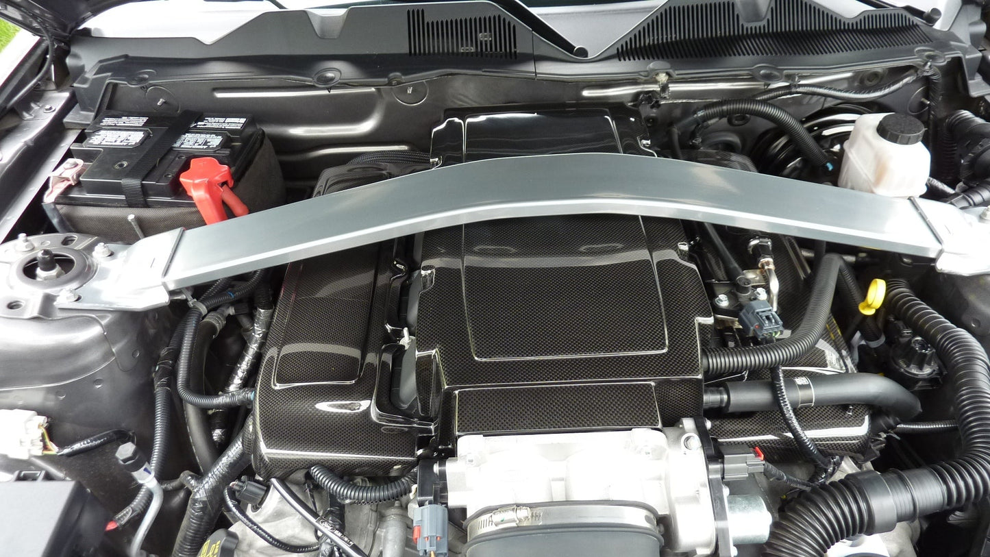 Carbon Fiber Mustang Fuel Rail Covers 2005-2010